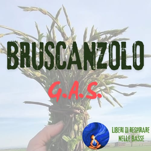 GAS BRUSCANZOLO